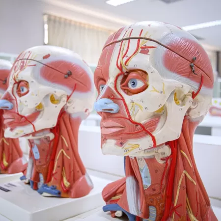 3d Druck Im Bildungswesen 1 1