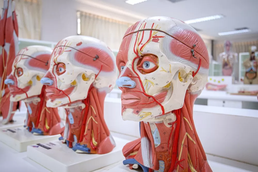 3d Druck Im Bildungswesen 1 1