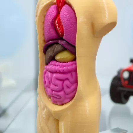 3d Druck Im Bildungswesen 5