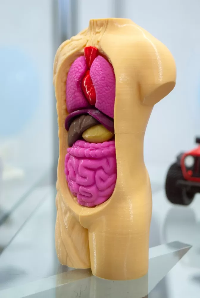 3d Druck Im Bildungswesen 5