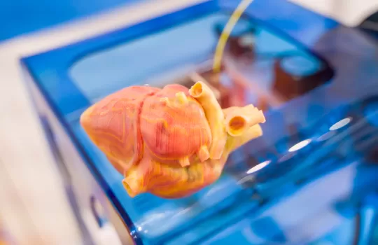 3d Druck Im Bildungswesen