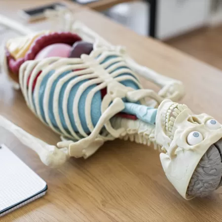 3d Druck Im Gesundheitssektor