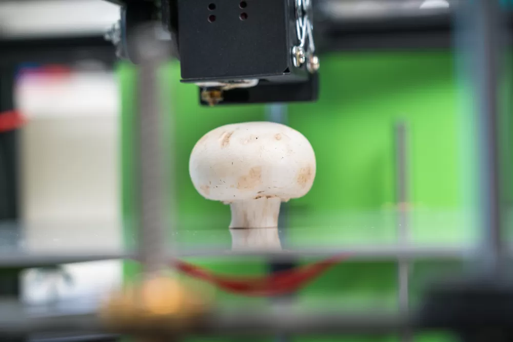 3d Druck Von Lebensmitteln 3
