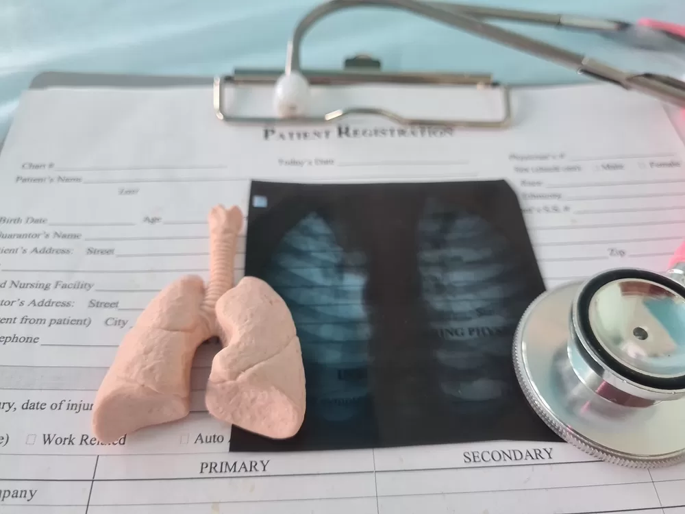 3d Drucker Im Bildungswesen 1