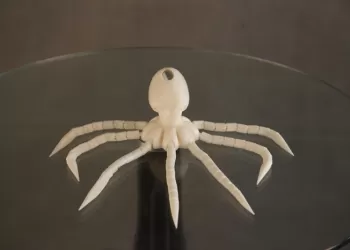 3D-Oktopus-Modell