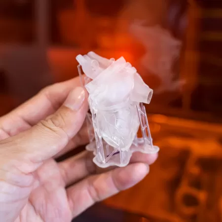 3d Organproduktion 1