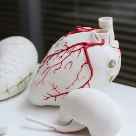 3d Produktion Im Bildungswesen 1