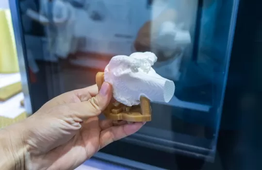 Biomedizinische 3d Produktion