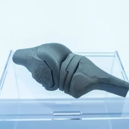 Biomedizinische 3d Produktionsunternehmen