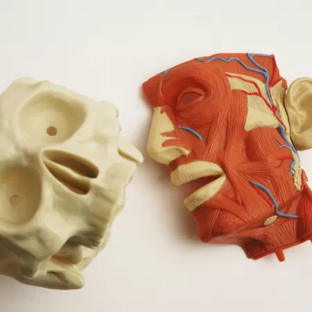 Biomedizinisched Produktion 4