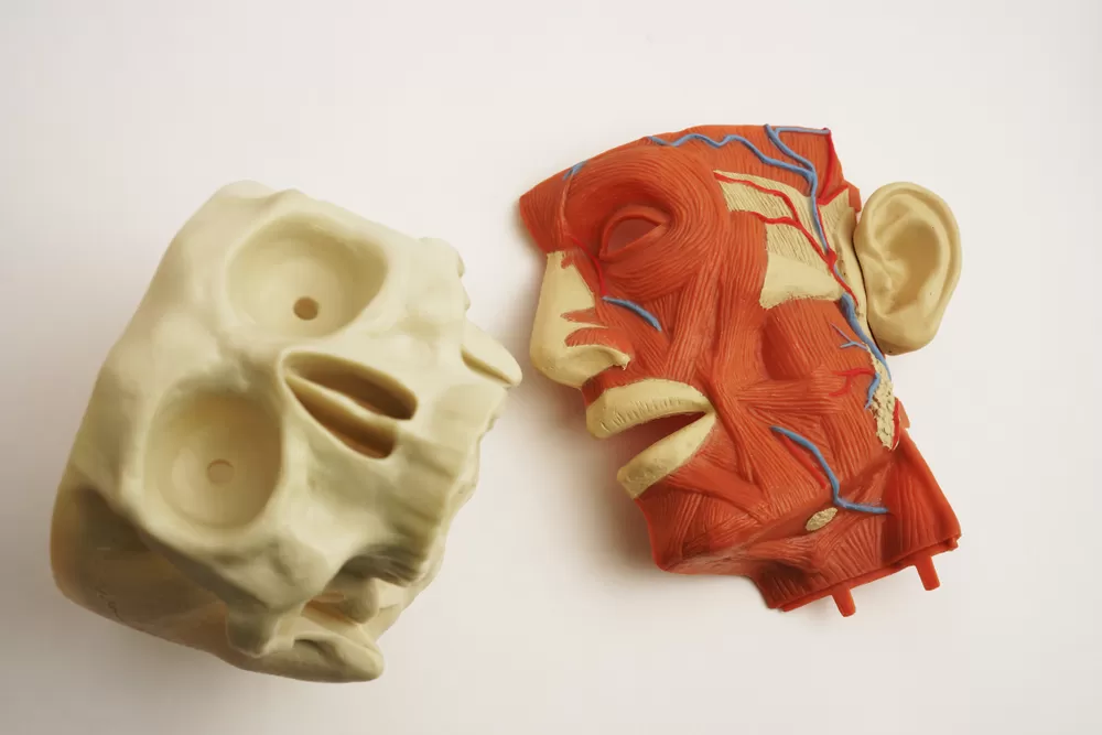 Biomedizinisched Produktion 4