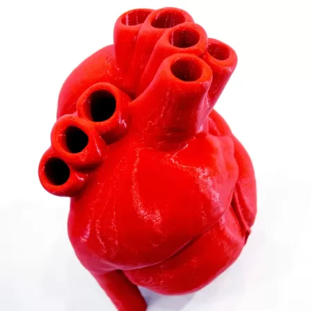 Biomedizinisched Produktion 6