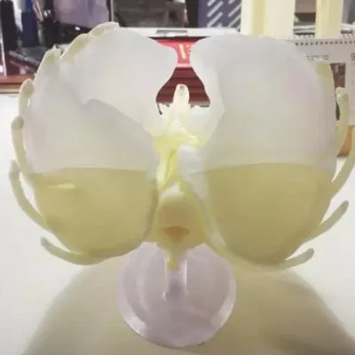 3D-Modelldruck für Medizinische Anwendungen