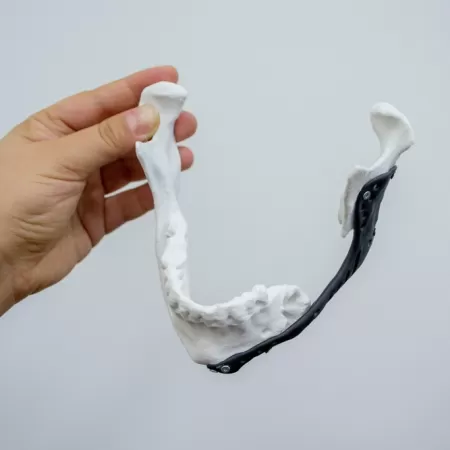 Medizinische 3d Modelle 1