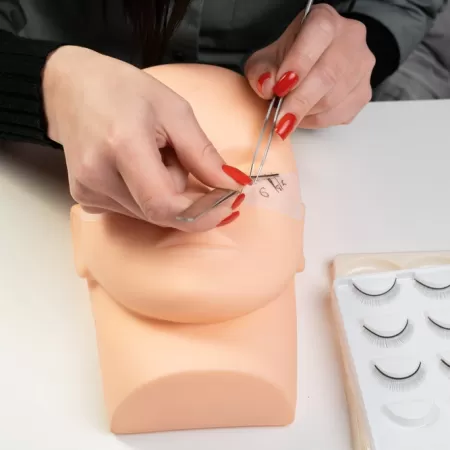 Produktion Von Bildungsmaterialien