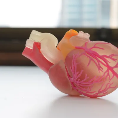 Die Zukunft des 3D-Drucks im Gesundheitswesen